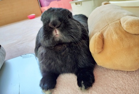 AD175DCA-502D-4812-B19E-9674810101DC