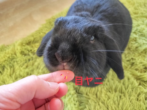 95E712C2-E5C2-447C-8BEB-494454109A2E