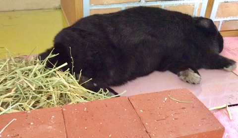 75234391-0263-427F-A176-5C837AC2F3B3