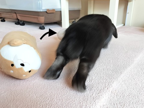 FA13905D-DBEB-4CC3-A193-ED4FE61386C4