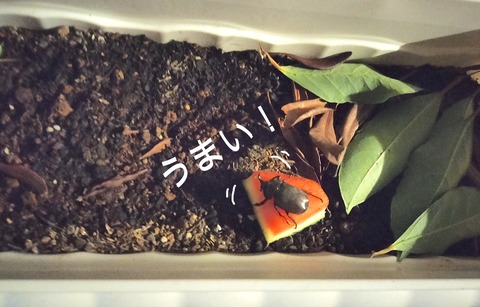 C2212822-65D6-40AA-ADEF-48EA88F0B2BC