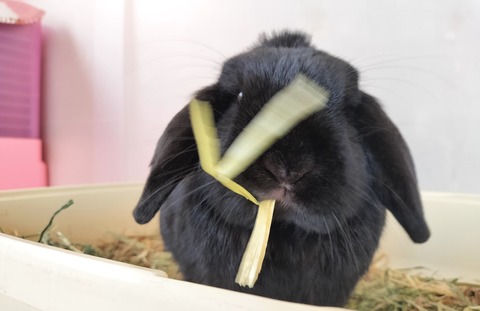 3DAD972E-D259-4365-8A4C-9B646668F78C