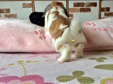 C0F26A0B-CF7A-4001-B522-8C79F3AC91A2