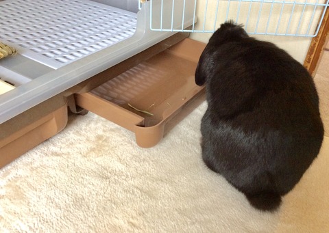 6BE017D1-AAC0-4081-B2E9-DB3D4F104238