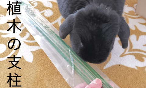 CED3CF98-417B-42A3-8A9B-3569F2053271