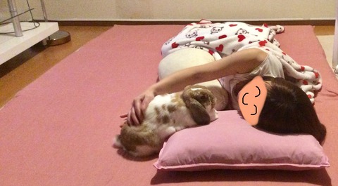 8C01AF2E-F0E3-4515-9203-C12E3A751448