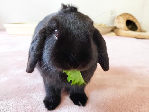 7B564C8A-1720-4002-94C3-57012DE081BF