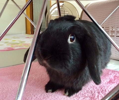 7082AAB5-D5B1-49A1-8849-248E69E76B25