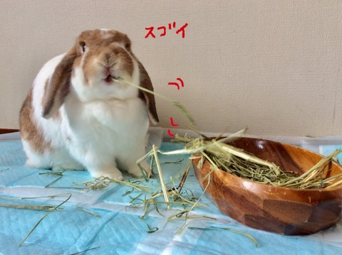 C9F180AD-80DD-4C52-A289-14254D47690D