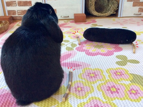 80638E0C-2800-4794-A9CC-8128BAA6A901