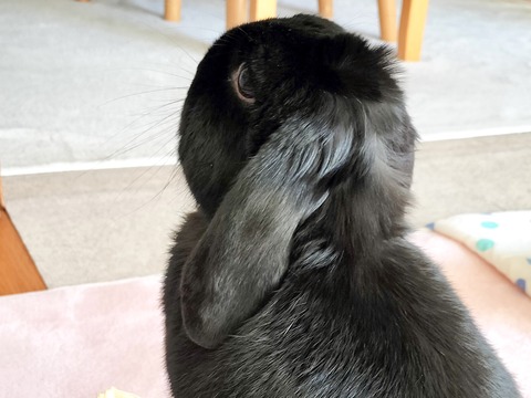 807E21EA-5DDC-4F96-877E-F165C06BAC71