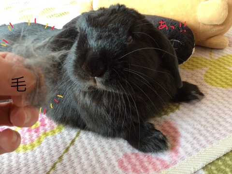 B5DD99DA-56CE-4C82-B747-90106341568B