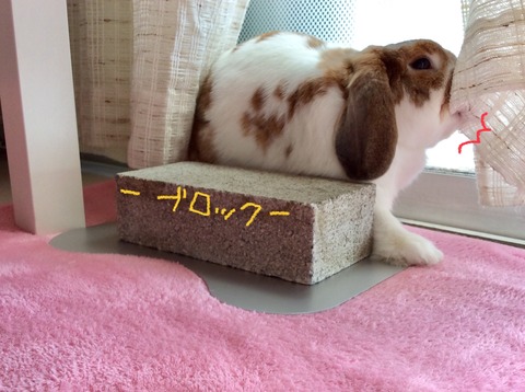 03D41300-ECC8-4AC9-B926-F6104B4C314F