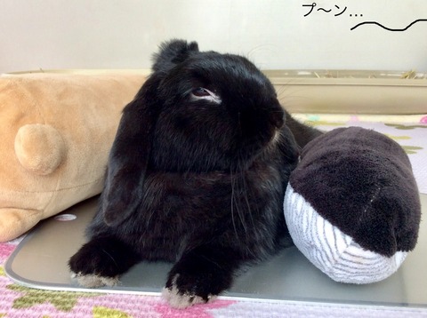 76860C4B-6D0B-4214-A776-3CFA58E68A33