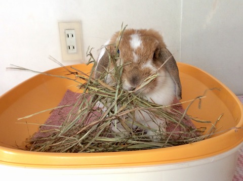 CA376F45-0A1B-4A0E-9555-F2289B40A03C