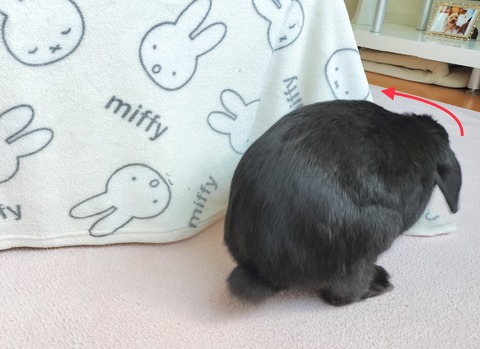 921A7B6D-9528-4F8F-AF7E-D020A440FA3D