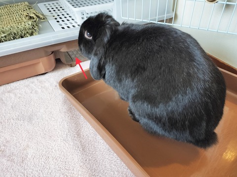 7A942283-1ECC-4C32-B7ED-2F6B8D493ABC