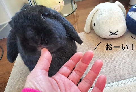 9B754DF7-101A-4E36-886D-9F5F3853FD27