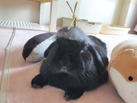 1CF39446-19B5-41E7-A846-5E53049C1A10