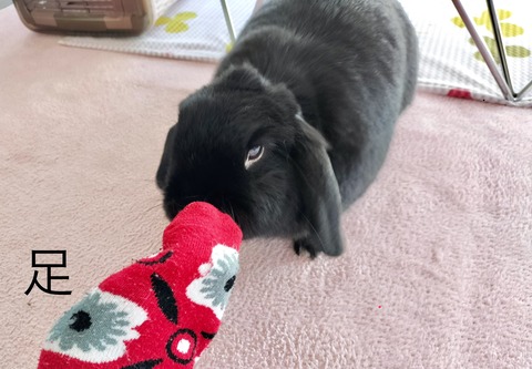 99B20C0B-EB15-455C-82D9-DBCB2214B316