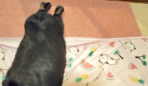 B77D3FB8-A6C6-4813-A79E-3205CE884168