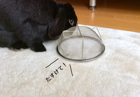 A7AA2278-D400-43C5-BD2B-1DAA833E4170