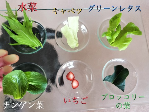 D75D3461-6136-4AAE-A269-B5F02FFD348F