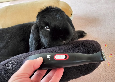 8B0349FB-0636-4A13-A970-42E90BA6B9A1