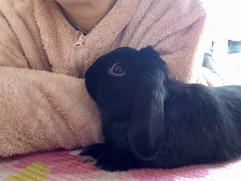 ADF44818-94F9-4FAF-BB41-528517657FB8