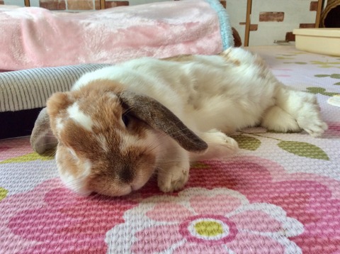 B0A54605-7BFD-4E8A-A81B-E0B7FE03C754