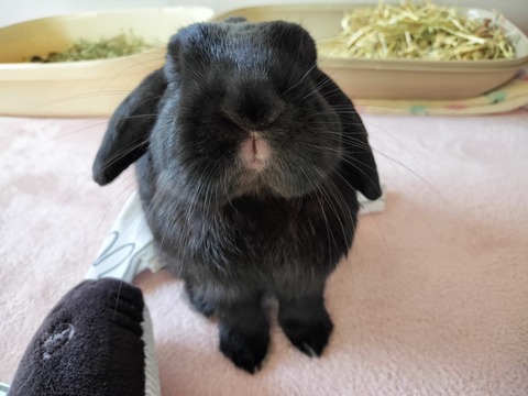 D583A46D-CDE4-4A56-A38F-8A1725E5198F