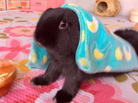 0EE5B7A6-CBA7-481F-B4F3-1626A52E2CD1