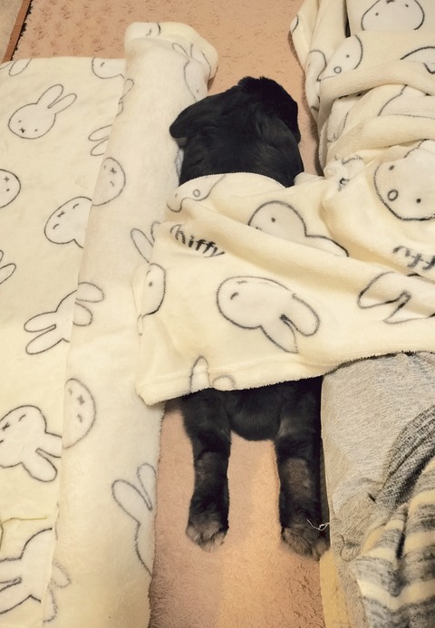 89C85C40-89FC-4F74-972A-5E97220BA90B