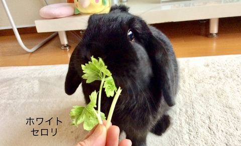 EB525E49-1377-42C0-9578-3EEA931C557E