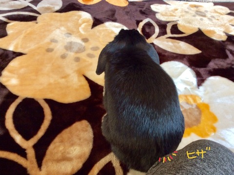 D6D29E2C-ECAB-4F05-83E3-5807AFFB62DF