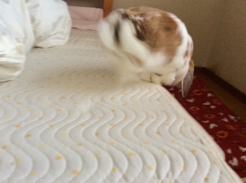 C579AB66-E8E5-4CDA-BF42-E16488D511B5