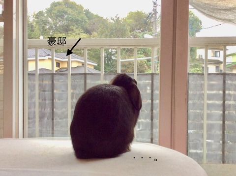 AB36D70B-D2EB-4FDF-9135-5EB7BF773B41