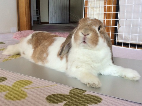 E6EECD6F-65A9-4DDC-BEB4-08FFEC2E0C11