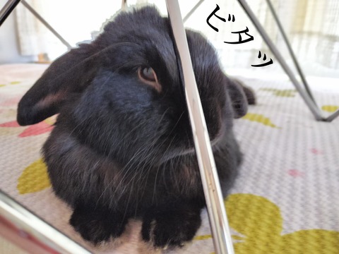 234EEF18-E289-4548-AA5A-2E2E0E0451F9