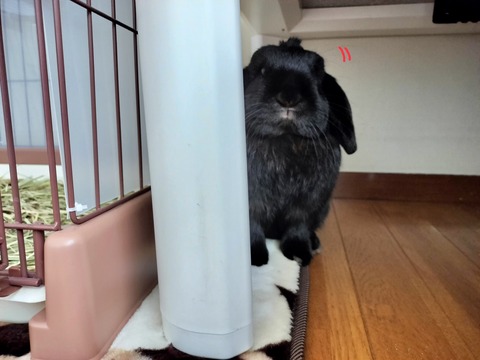 DEB7062A-0119-4D68-BEA2-1CD2B763EF82