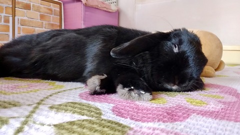 9E1A271E-0AAE-4C7E-8178-E1FF0BA892AE