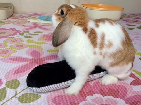 54F78E8E-5A0D-4713-8AA3-55C7ADDD1EAD