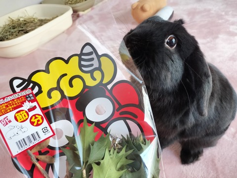 5555A44D-3C04-44F9-BBBF-A284AAD60528