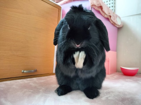 91135F30-2E2A-4BC7-AEA4-2715B62C46C3