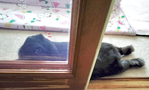 4EFD5610-7C73-4567-9C7C-1FD287D0FF3F