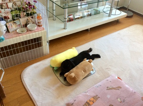 EE0D909F-48ED-4BD2-84CB-397651E2782F