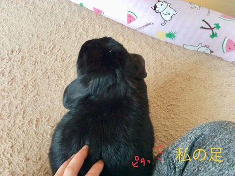 FAC8D7D1-6843-4301-B3C0-55080AF305A8