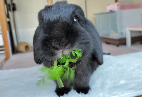 5955CCF8-F977-4BA4-93AB-E50BDFE163D3