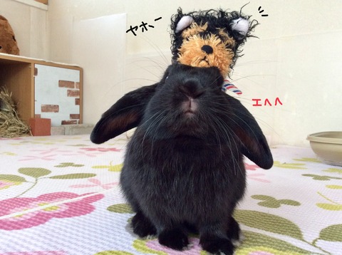 BDECB0B3-1E9A-4B4D-876F-3DA8758ED80F