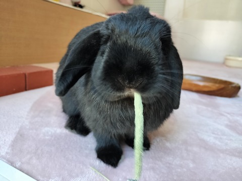 DC7A4040-BA7C-4412-8082-24982CD08158